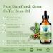 Green Coffee Bean Oil 473 ml Rich in Antioxidants Natural Moisturizer Versatile Use Bella Terra Oils  - Buy Online on GoSupps.com