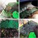 BigTron Floating Turtle Platform - 20cm Rectangular Terrapin Dock for Brazilian Tortoise - Buy Online on GoSupps.com