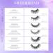 Lilly Lashes Sheer Band - Flirtatious 15mm Mink False Eyelashes | Volume & Flare Invisible Band Reusable | International Shipping Available - Buy Online on GoSupps.com