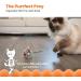 Petstages Squeak Squeak Mouse Plush Catnip Cat Toy - Buy Online on GoSupps.com