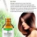 Organic Rosemary Oil for Hair Growth and Skin Care - 60ml | Pure Essential Oil for Hair Loss Treatment - Buy Online on GoSupps.com