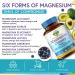 Terranics Magnesium Complex 6-in-1 High Absorption Glycinate Citrate Aspartate Gluconate Calmness Heart Bone 240 Capsules Non-Buffered - Buy Online on GoSupps.com