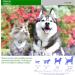L-Lysine Supplement for Cats - Cat Supplement for Sneezing and Runny Nose Cold Immune Support Eye Function and Respiratory Health Lysine 2 fl oz - Buy Online on GoSupps.com