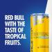 Red Bull Sugar Free Tropical Edition Energy Drink 250ml x12 - Buy Online - Buy Online on GoSupps.com