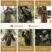 MOPHOTO Ghillie Suit 3D Leafy Camo Hunting Suits for Men & Youth - Jungle & Forest Camouflage for Hunting, Airsoft & Halloween - M/L (4.9-5ft) - Buy Online on GoSupps.com