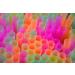 500-Pack Neon Colored Flexible Drinking Straws - 7.75 Plastic Bendy Straws - Disposable - ALINK - Buy Online on GoSupps.com