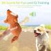 SQinor Plush Dog Toys - Interactive Squirrel Toy for Large & Small Dogs & Puppies - Cuddly and Durable - Buy Online on GoSupps.com