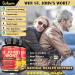 6in1 St. John's Wort Capsules Extract Supplement for Mood & Mind Support - Ashwagandha, Turmeric, Passion Flower, Ginkgo Biloba & Black Pepper - 120 Vegan Capsules (2 Packs) - 4 Months Supply - Buy Online on GoSupps.com