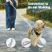 Pawaboo Dog Harness & Leash Set - Adjustable Anti-Train Vest for Small & Medium Dogs | Breathable X-Frame Design (M Black) - Buy Online on GoSupps.com