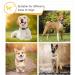 Heele Soft Padded Neoprene Dog Collar for Small & Medium Dogs | Adjustable & Reflective Gray Collar for Training | XS 20-30 cm (1 Pack) - Buy Online on GoSupps.com