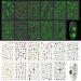450+ Glow in The Dark Halloween Nail Stickers - Pumpkin Monster Nail Art for Kids - Buy Online on GoSupps.com