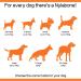 Nylabone Extreme Tough Dog Chew Toy - Shish Kebab Chicken Jerky Flavour - Large Size for Dogs Up To 23Kg - Buy Online on GoSupps.com