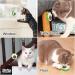 Edible Catnip Ball for Dental Care and Play - Rotatable Mint Toy for Cats - Buy Online on GoSupps.com