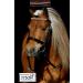 Buy Tysons Breeches Bridle in Rose Gold | Mini Shetty Riding Bridle with Leather Glitter Rhinestones + Reins - International Shipping Available - Buy Online on GoSupps.com