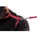 Buy Karlie Art Sportiv Plus Rabbit Harness & Leash - Red 140 cm | Durable Comfortable eCommerce Shipping Worldwide - Buy Online on GoSupps.com
