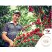 CofiCafe 6 Lbs Specialty Colombian Unroasted Green Coffee - Tatama Valle del Cauca (SCA 87) - Buy Online on GoSupps.com