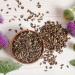 Frontier Co-op Organic Milk Thistle Seed 1lb - Premium Quality - Buy Online on GoSupps.com