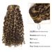 22 inch Afro Jerry Curly Clip in Human Hair Extensions for Black Women - Natural Black Color - 100% Brazilian Hair - #P4/27 - Buy Online on GoSupps.com