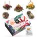 Yc Yang Chai 6 Teblumen Gift Box - Black & Green Tea in Noble MagnetBox - 5 different types of tea blossoms - Floor "Symbiosis" - Gift for women mother tea lover black/green tea