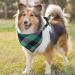 4 Pack Dog Bandanas Dog Bandanas for Large Dogs Adjustable Classic Checkered Bandana for Dogs Stylish Reversible Triangle Dog Bandana for Small Medium Large Dogs Cat Pets - Buy Online on GoSupps.com