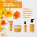 Arnica Massage Oil with Marigold & Hamamelis - 100ml for Muscle Regeneration & Relaxation - International Shipping Available - Buy Online on GoSupps.com