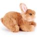 Zappi Co 100% Recycled Plush Rabbit Toy (15cm) - Eco-Friendly Stuffed Animal for Newborns - Buy Online on GoSupps.com