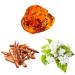 3-Pc. Sexy Amber Gift Set - Buy Online on GoSupps.com