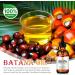 Huile de Batana 120ML Batana Oil Pour Cheveux 100% Pure Pour Les Sourcils Cils Nourrit Le Cuir Chevelu Stimule La Croissance Des Cheveux R parateur Renforcement Pour Cheveux Ab m s (120ML) - Buy Online on GoSupps.com