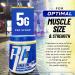 Ronnie Coleman Creatine-XS | Unflavored Creatine Monohydrate Powder for Muscle Building & Strength | 120 Servings - International Shipping Available - Buy Online on GoSupps.com