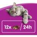 Whiskas Crispy Bags for Adult Cats - Low-Calorie Beef Snacks | 8 x 60g - International Shipping - Buy Online on GoSupps.com