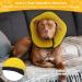 BONTHEE Soft Dog Cone Alternative After Surgery Dog Cone Collar for Small Dogs Adjustable Dog Recovery Collars for Pet Lightweight E-Collars for Dogs Elizabethan Collar for Dogs Stop Licking(XL) S Yellow - Buy Online on GoSupps.com