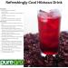 Puregro Hibiscus Flowers Whole Dried | 1kg | Pack of 1 | Hibiscus Tea Infusion | Flor de Jamaica | Dried Sorrel | Quality Ingredient for Brewing & Distilling - Buy Online on GoSupps.com