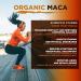 Organic Maca Premium 4 Root Powder 500g - Superfoods 500g (Pack of 1) - Buy Online on GoSupps.com