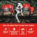Stella & Chewy's Wild Red Dog Food 3.5 lb Bag - High Protein Raw Coated Red Meat Recipe with Wholesome Grains - Buy Online on GoSupps.com