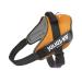 Julius-K9 IDC Powair Dog Harness Size: 2XL / 3 Orange Orange 2XL/3