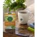 Traditional Medicinals Organic Belly Comfort Tea - Caffeine-Free Peppermint, 16 Wrapped Bags (0.99 oz) - Buy Online on GoSupps.com