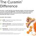 Terry Naturally Curamin - 2 Pack Pain Relief Supplement with Curcumin, Boswellia, DLPA & Nattokinase - Non-GMO Vegan - 40 Servings - Buy Online on GoSupps.com