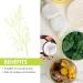 Calendula Balm - Eczema Moisturizer for Dry Skin | Baby Eczema Cream | Face Cream for Sensitive Skin - 50g/1.7oz - Buy Online on GoSupps.com
