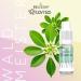 Belissia Food Aroma - Woodruff 10ml | High-Dose Flavor for Cooking Baking & Refreshments - International Shipping Available - Buy Online on GoSupps.com