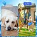 Cooling Collar for Dogs | Breathable Summer Neckerchief for Ultimate Heat Relief - Buy Online on GoSupps.com