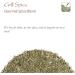 Barbeque Grill Spice Gourmet Quality - Grilling Spices Seasoning for BBQ - 100g - Buy Online on GoSupps.com