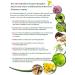 Swissmedicus Stress Medicus - Natural Herbal Supplement for Mood & Mental Health | 120 Vegan Capsules with St. John's Wort & Baikal Helmet Herb - Buy Online on GoSupps.com