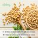 Vitabay Soy Isoflavone - 90 Vegan Capsules | High Dosage 10% Isoflavones | Made in Germany | International Shipping Available - Buy Online on GoSupps.com