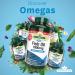 Natures Aid Fish Oil 1000mg | Omega 3 (180mg Epa & 120mg Dha) | 240 Softgels | Made In The UK | Extra Value Pack 240 Capsules - Buy Online on GoSupps.com