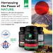 Daiwa Peak Immune 4 - Natural Immune System Booster + Plasmanex 1 Blood Circulation Supplement + Krill Oil Omega 3 Krill Oil Capsules - Buy Online on GoSupps.com