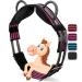 Esposita riding strap with 2 leather handles to hold on for children and riders - also suitable as a lunging belt vaulting belt or as a wooden horse accessories pony pink black