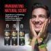 the shave factory After Shave Cologne Series (250ml (8.45 fl. oz) Oud II Classique) Oud II Classique 8.45 Fl Oz (Pack of 1) - Buy Online on GoSupps.com
