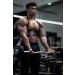 Buy Fitgriff Biceps Isolator - Arm Blaster for Bodybuilding & Weightlifting | Strength Training Arm Trainer in Black - Buy Online on GoSupps.com