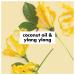 Love Beauty And Planet Coconut Oil and Ylang Ylang Deodorant 2.95 oz - Pack of 1 - Buy Online on GoSupps.com