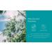 Earth's Natural Alternative Premium Bath Tissue - 12 Eco-Friendly Rolls - Buy Online on GoSupps.com
